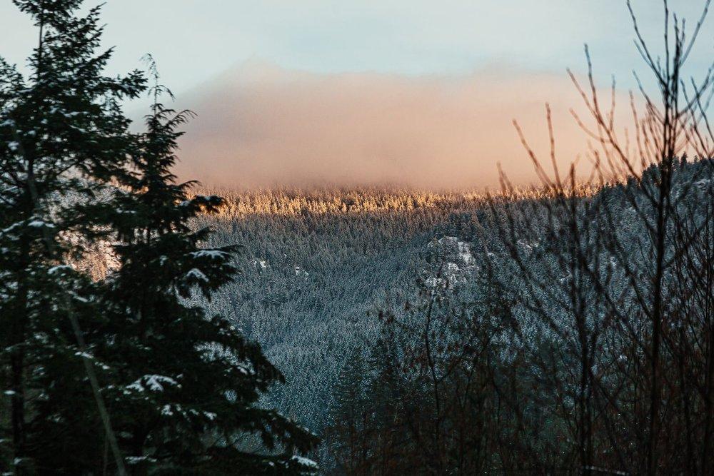 recomment-pack-image-1