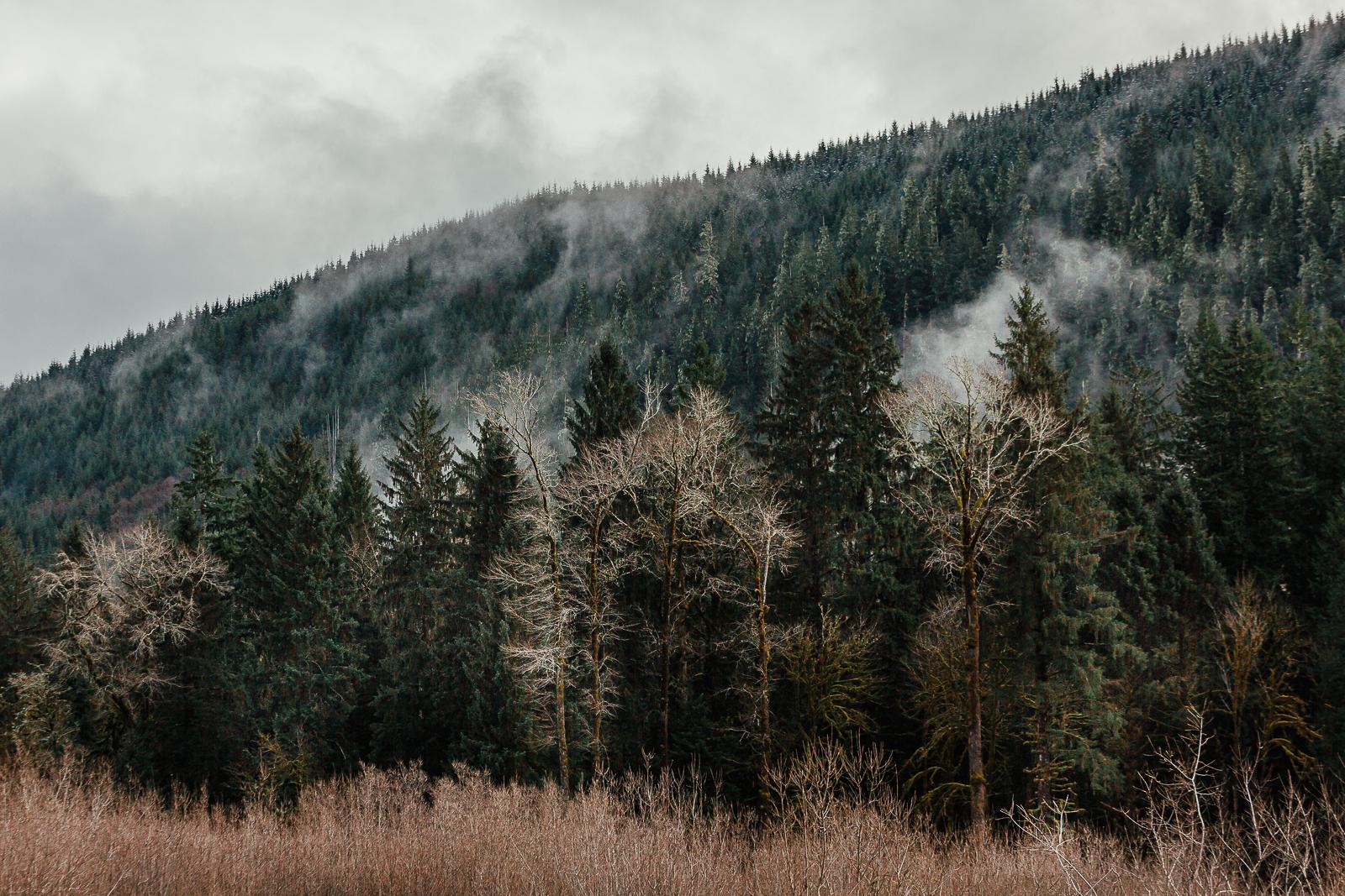The Magical Wedding of Tom and Lyndy by the Tennessee River