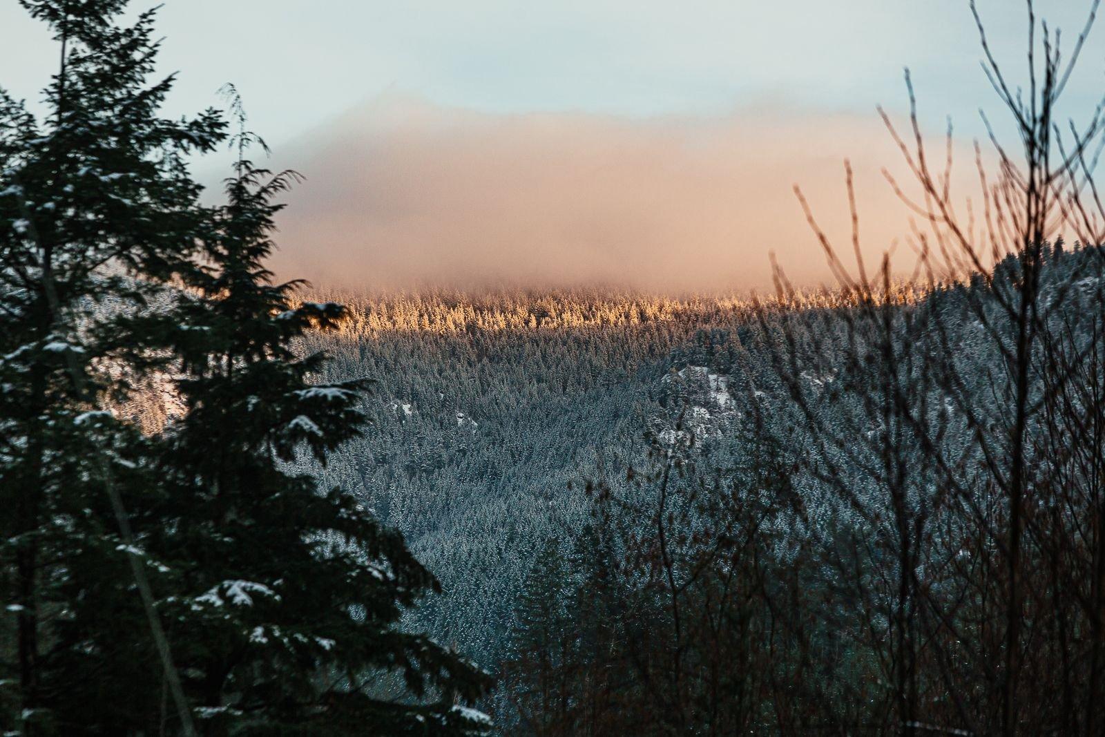 carousel-hero-element image-0