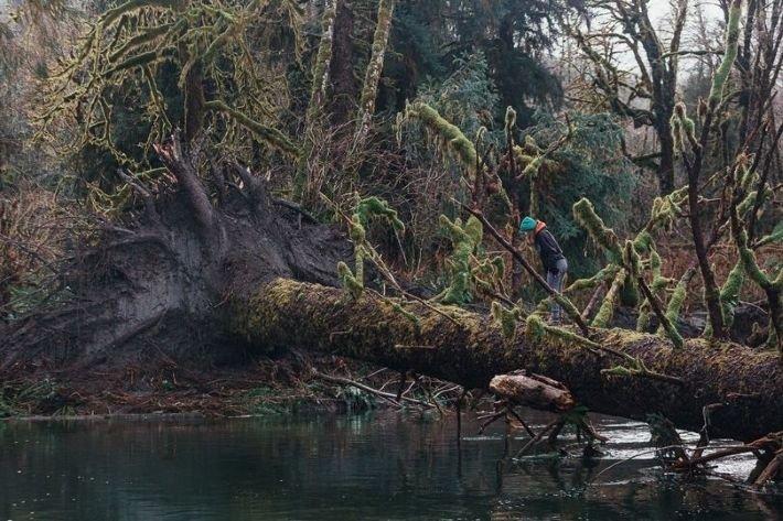 carousel-hero-element image-4