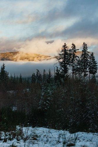 mobile - carousel-hero-element image-2