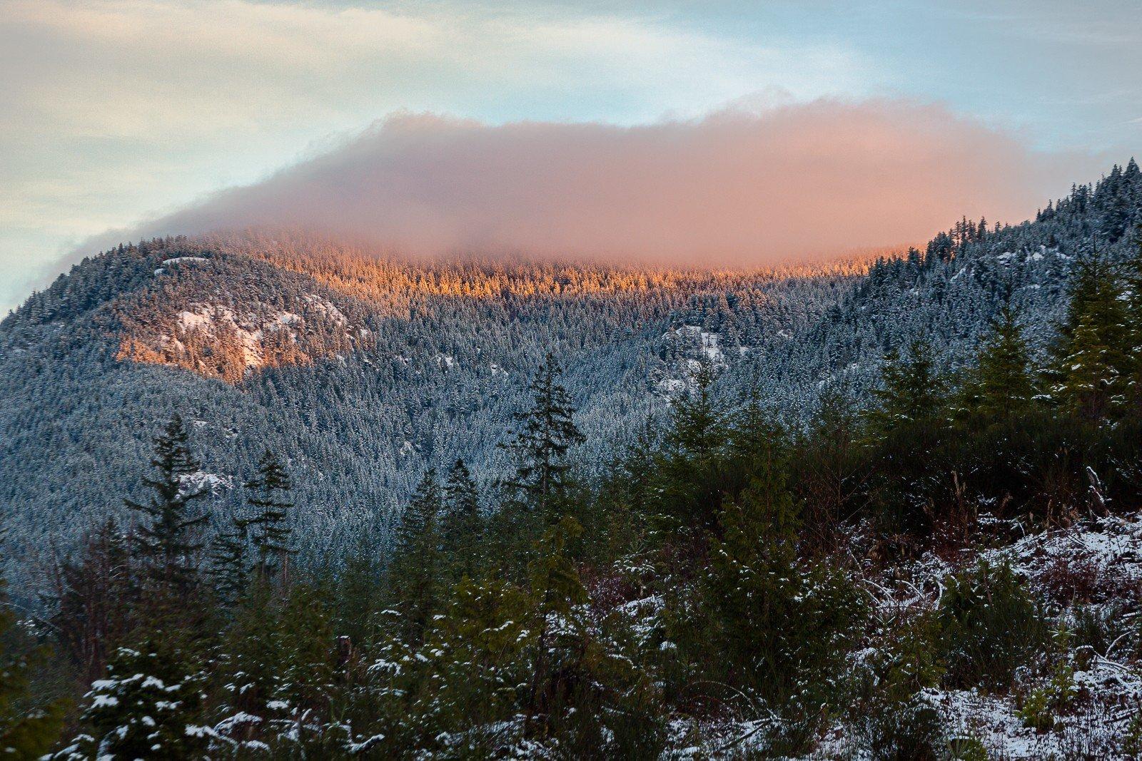 carousel-hero-element image-0