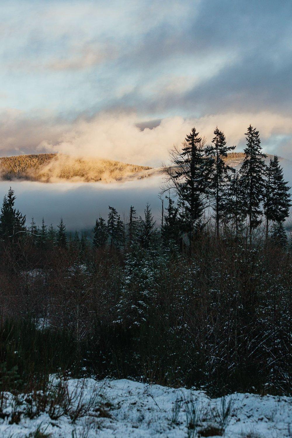 carousel-hero-element image-2